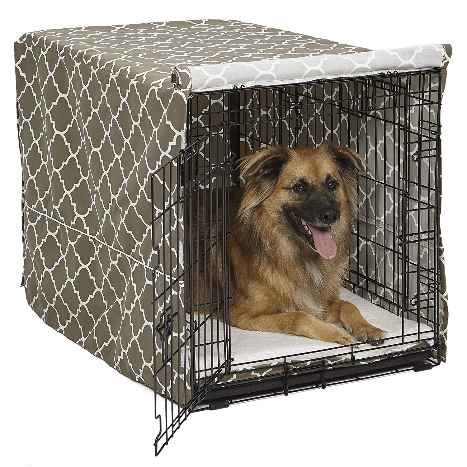 dog cage to buy