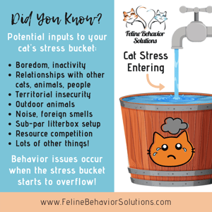 DYK5 - stress Bucket In