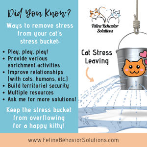 Dyk6 - stress Bucket Out