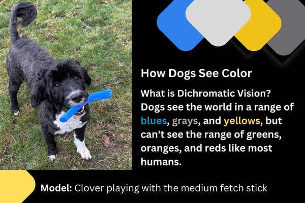 Dichromatic Vision Clover with Blue Fetch Stick