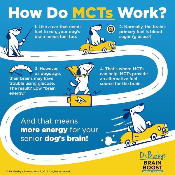 How does MCT work Dr Buzby