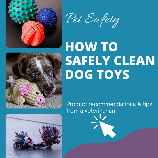 Finding the Right Pet-Safe Cleaning Products for Businesses