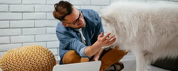 Man and dog in virtual dog training session