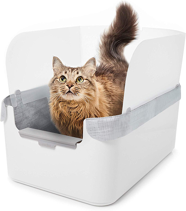 best litter box for kittens