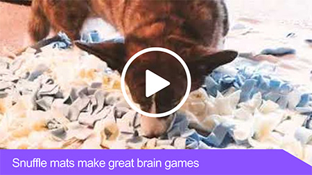 Snuffle mats make great brain games