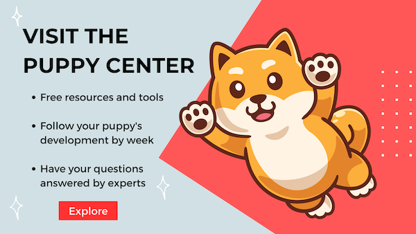 Visit the puppy center