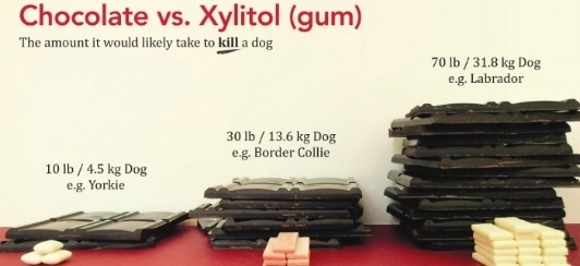 is xylitol in kraft peanut butter