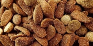  croquettes pour chiens 