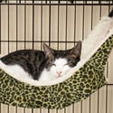 OCSOSO Cat Hammock