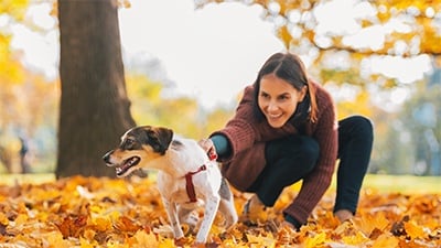 Reliable Recall: Teach Your Dog to Come When Called