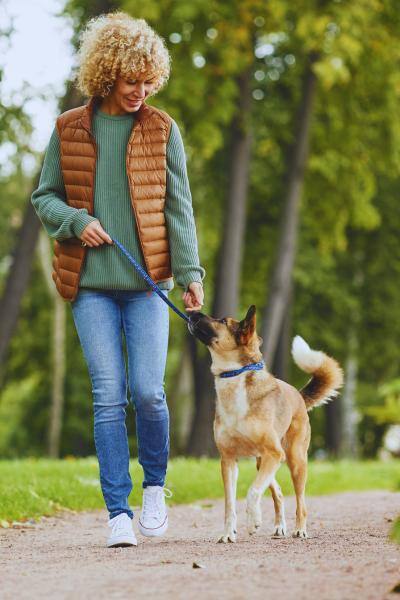 Finding a Dog Walker You Can Trust