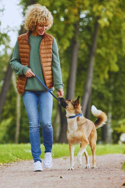 dog walker with shepherd dog