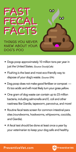 rask fecal fakta infographic