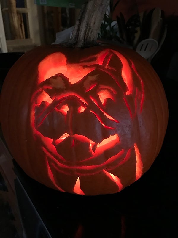 Pumpkin Carving: A Fun Guide to Pet-Themed Jack-o'-Lanterns