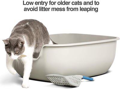 The Best Litter Boxes For Kittens Based on Their Age