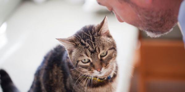 man talking to a cat with cognitive dysfunction