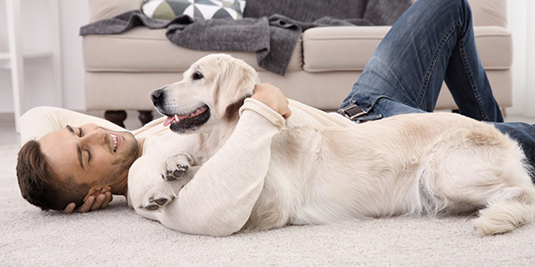 How to get your clearance dog to listen without treats