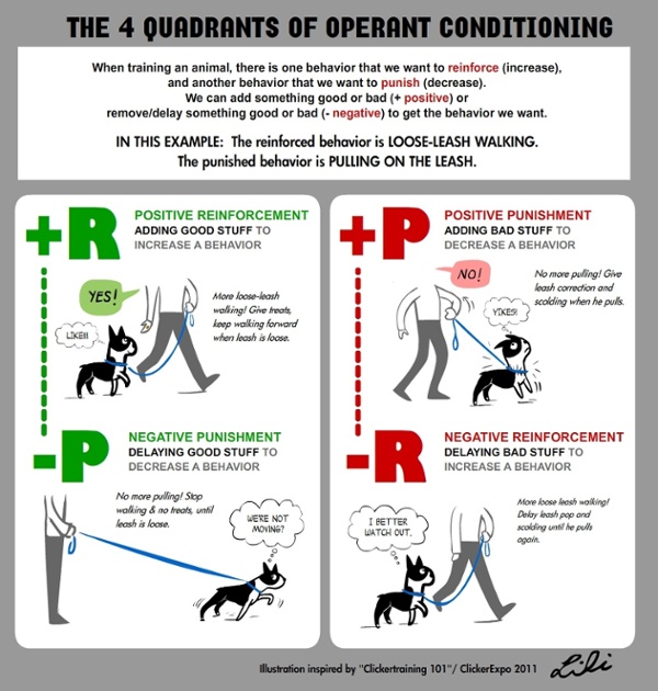 Positive reinforcement sales dog training