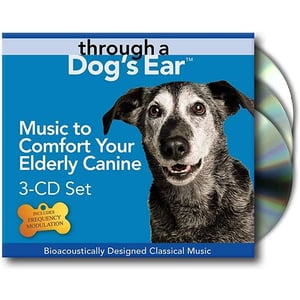 can loud music hurt dogs ears