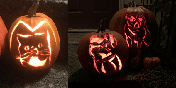 dog and cat pumpkin