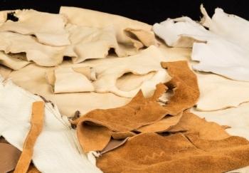 types of raw hides for dogs