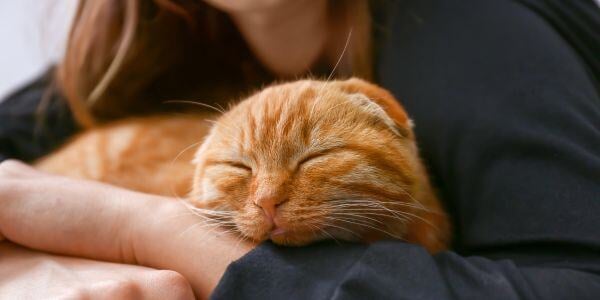 woman hugging an orange cat