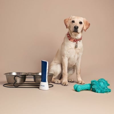 https://www.preventivevet.com/hs-fs/hubfs/yellow%20lab%20with%20toys%20and%20bowls%20with%20Tersano%20cleaner.jpg?width=400&height=400&name=yellow%20lab%20with%20toys%20and%20bowls%20with%20Tersano%20cleaner.jpg