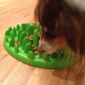 puppy food puzzle toys