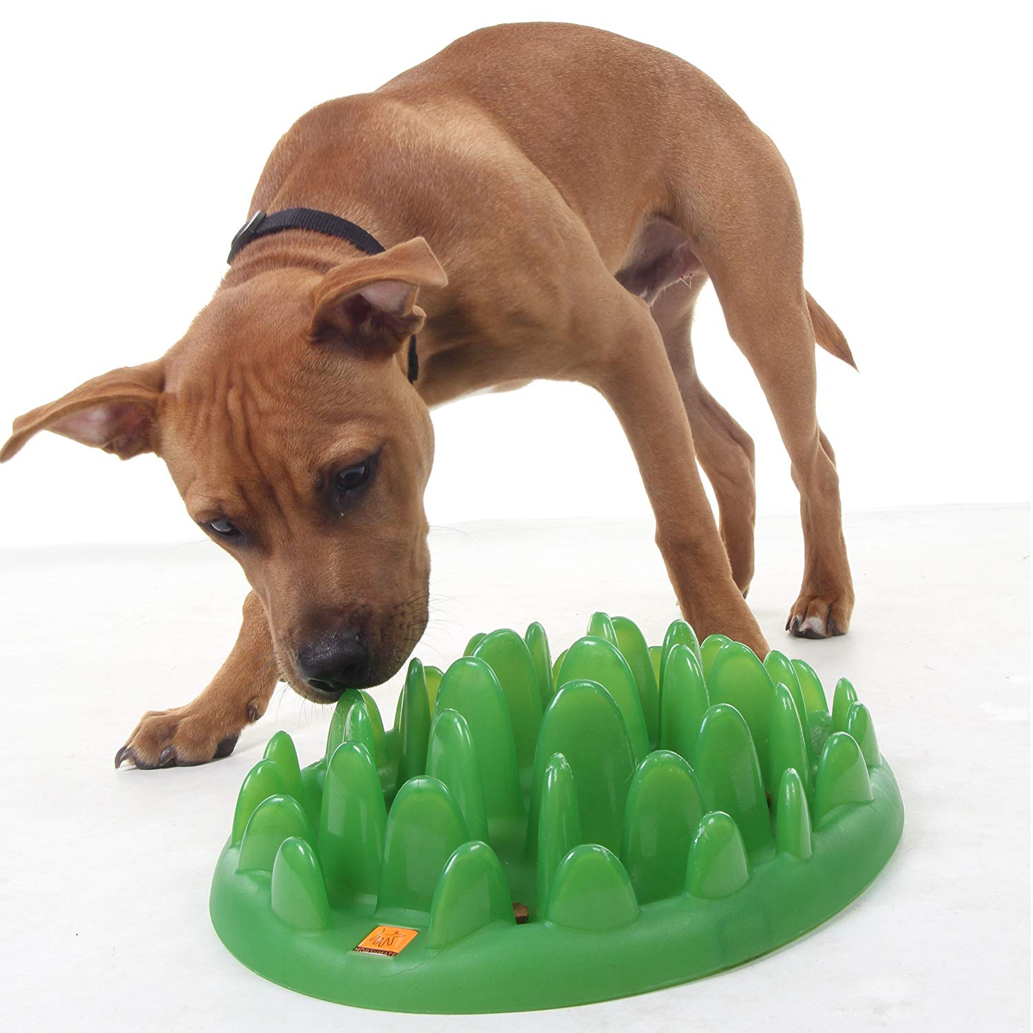 GZYACHEN Dog Puzzle Toy Interactive Dog Slow Feeder Suitable for Large  Medium and Small pet Treats to distribute Dog Toys (Level 2/Bring Button) -  Yahoo Shopping