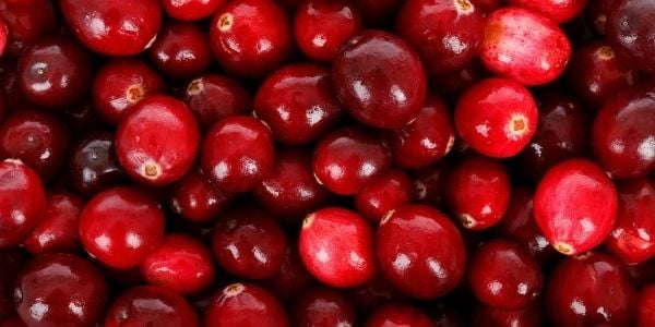 can dogs eat cranberries for uti