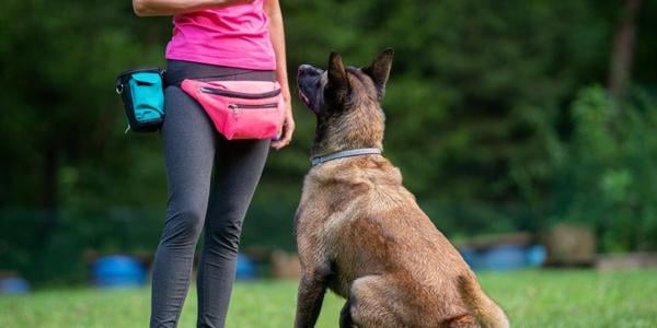 Dog Handler Training Vest Bite Protective Dog Trainer Clothing