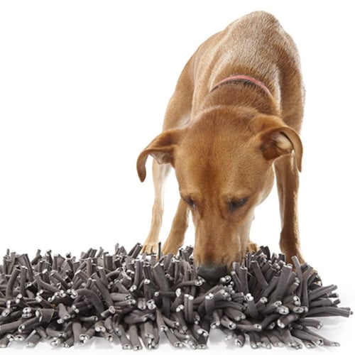 Doodle Dogs - Snuffle Activity Mat - Level 2