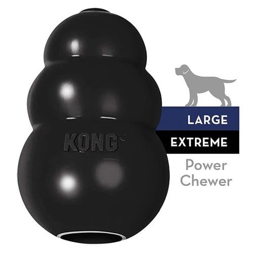 KONG Extreme Dog Interactive Dog Toy