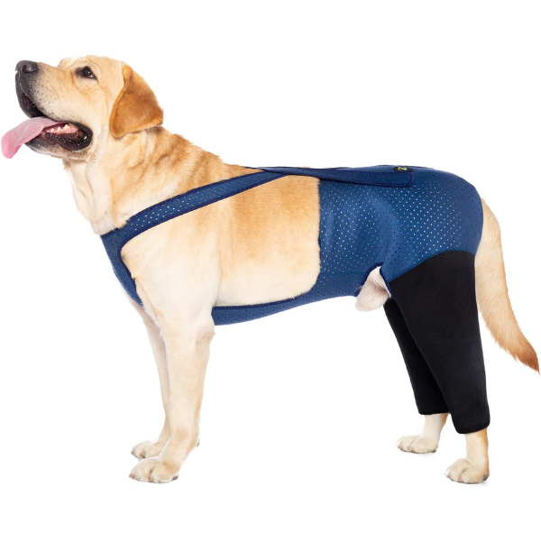 Hind Leg Surgery Sleeve Cone Alternative for Dogs